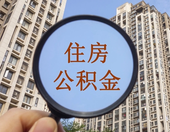 珠海退休后查不到公积金明细了吗（退休后公积金查询不到原因）